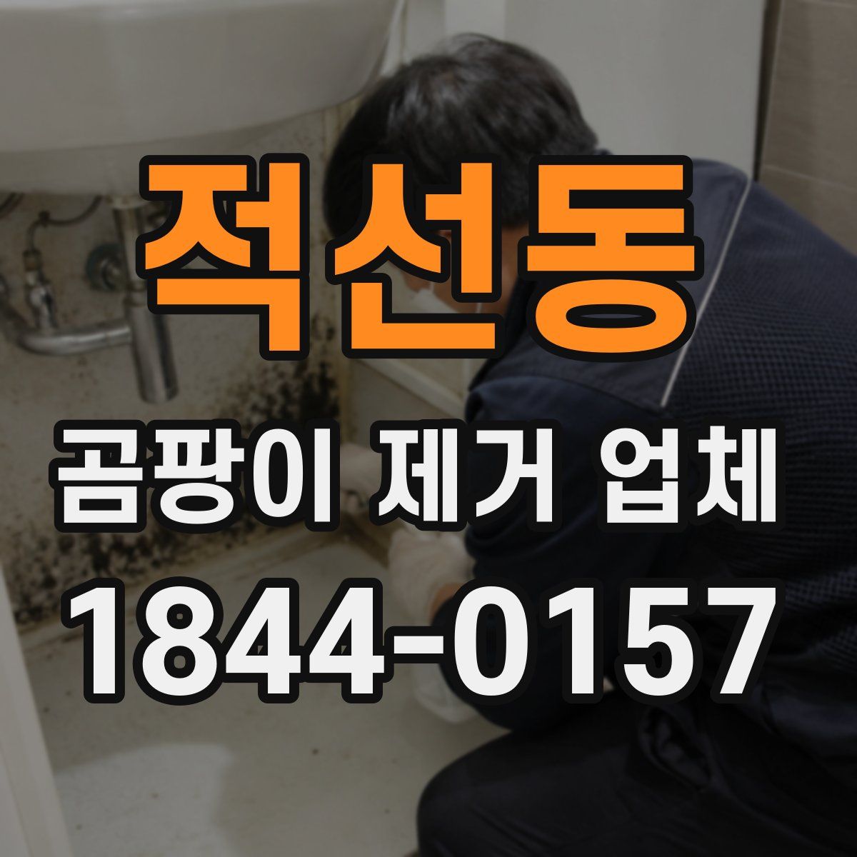 적선동 곰팡이 제거 업체