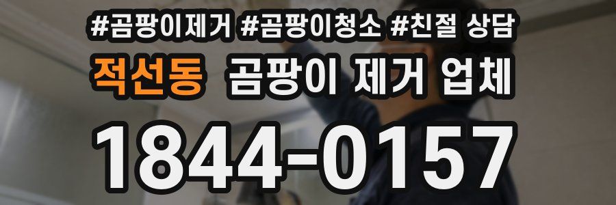 적선동 곰팡이 제거 업체