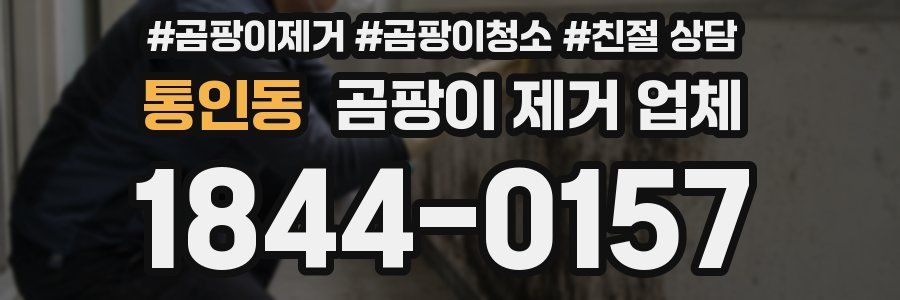 통인동 곰팡이 제거 업체