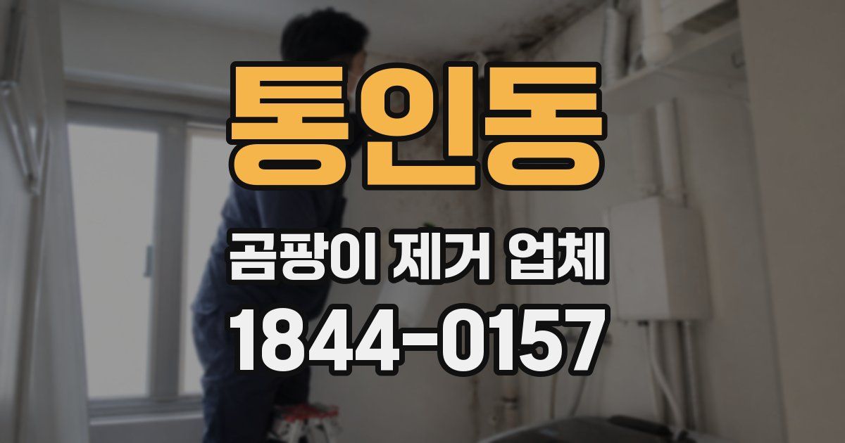 통인동 곰팡이 제거 업체