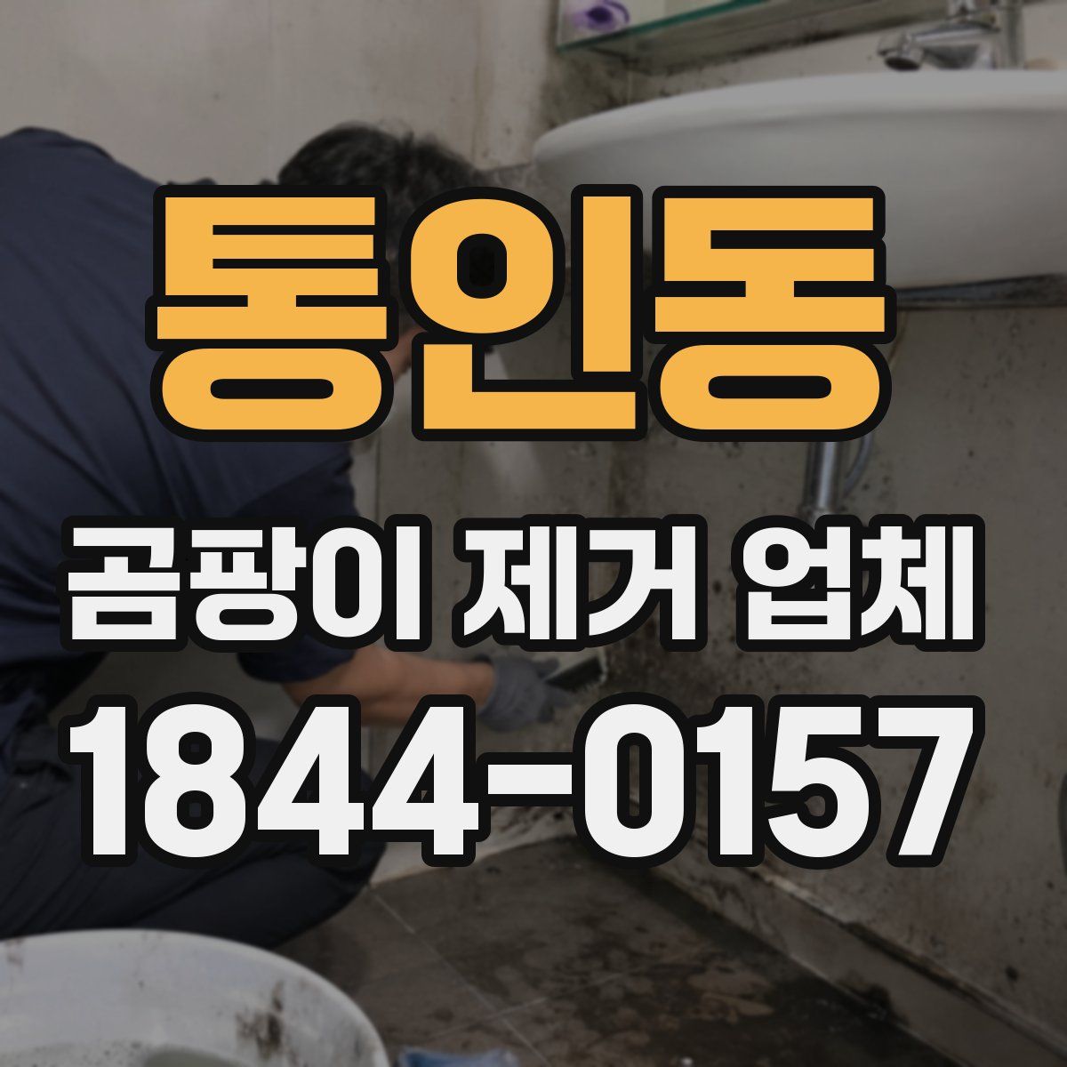 통인동 곰팡이 제거 업체