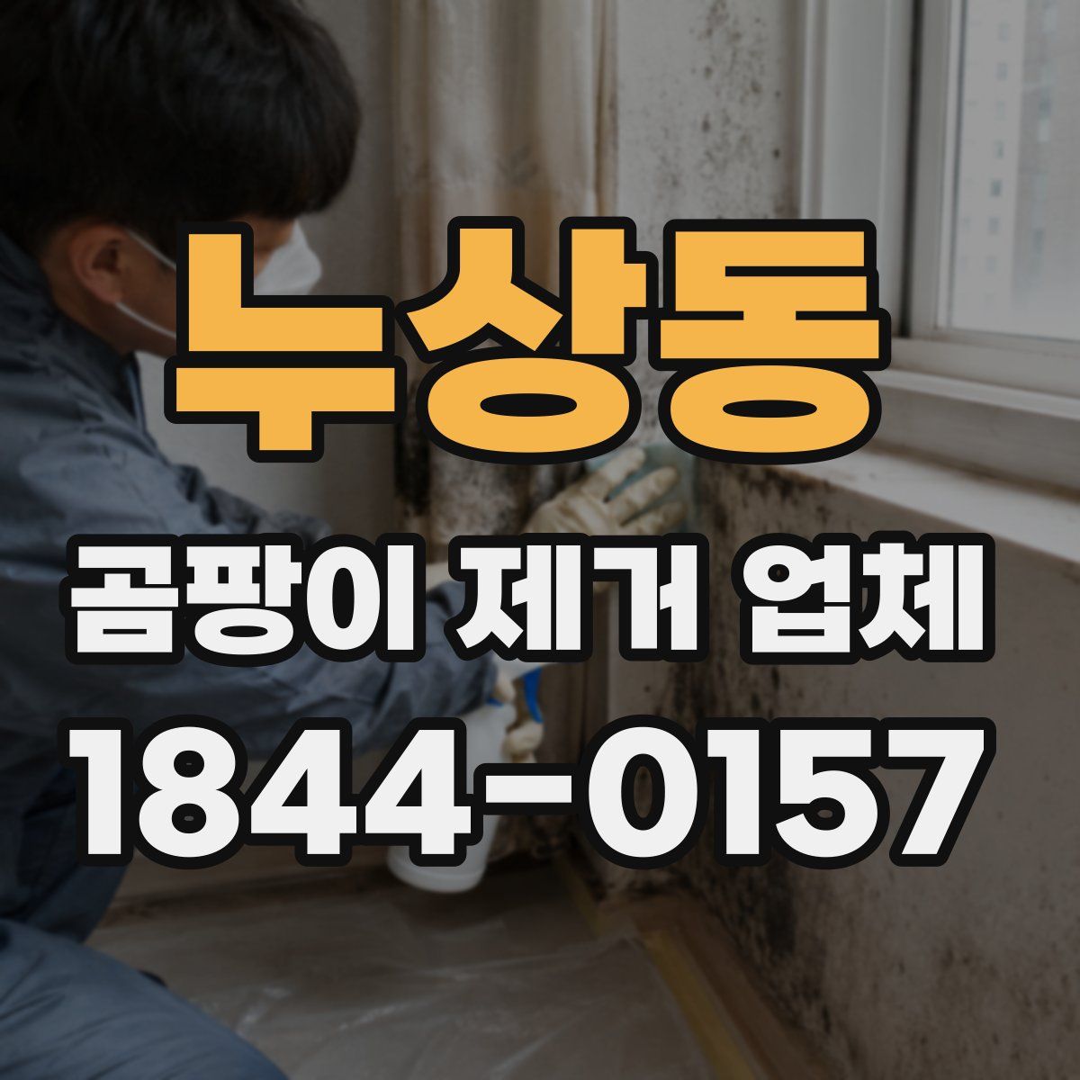 누상동 곰팡이 제거 업체