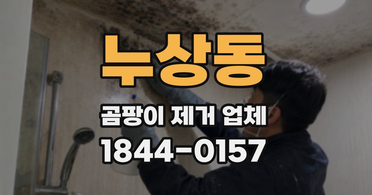 누상동 곰팡이 제거 업체