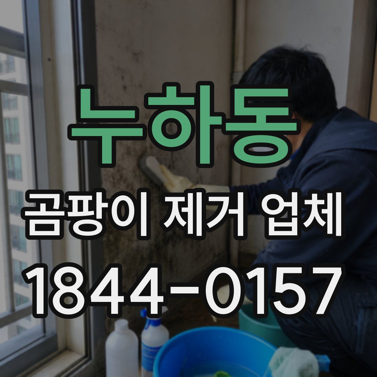누하동 곰팡이 제거 업체