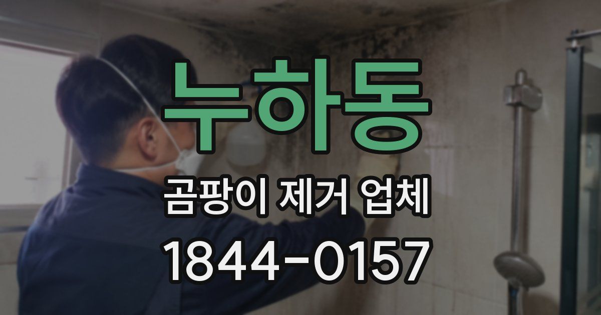 누하동 곰팡이 제거 업체