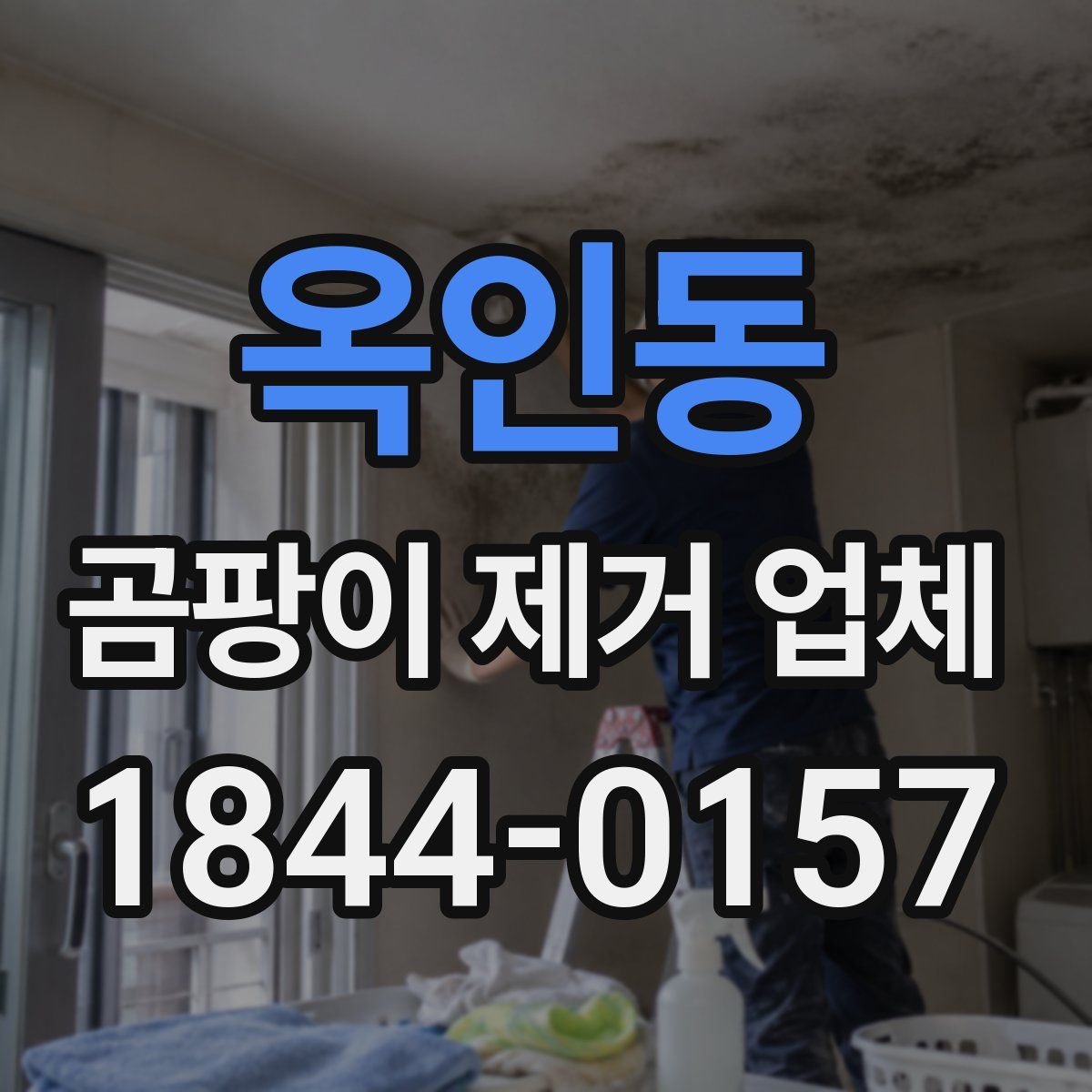 옥인동 곰팡이 제거 업체