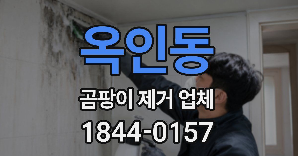 옥인동 곰팡이 제거 업체