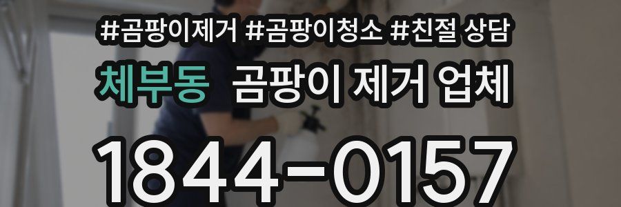 체부동 곰팡이 제거 업체