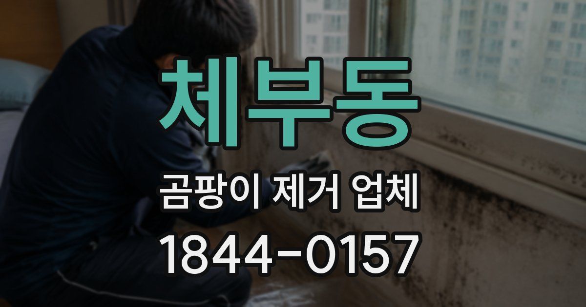 체부동 곰팡이 제거 업체