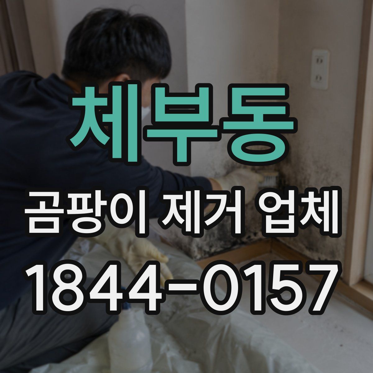 체부동 곰팡이 제거 업체
