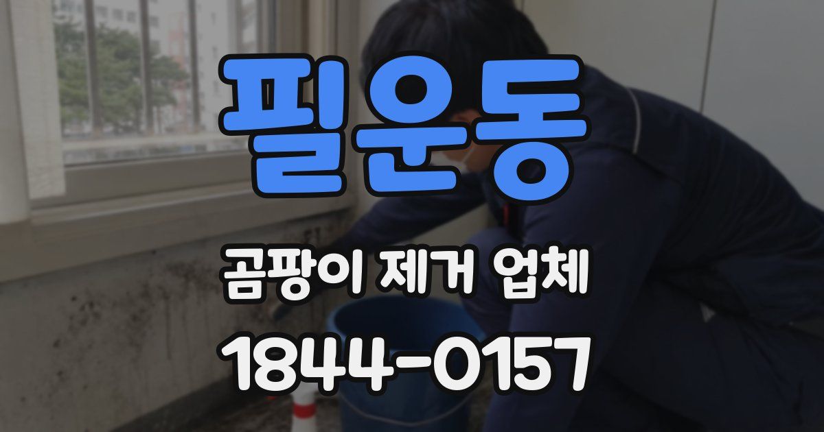필운동 곰팡이 제거 업체