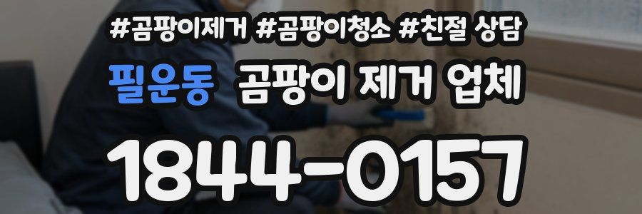 필운동 곰팡이 제거 업체