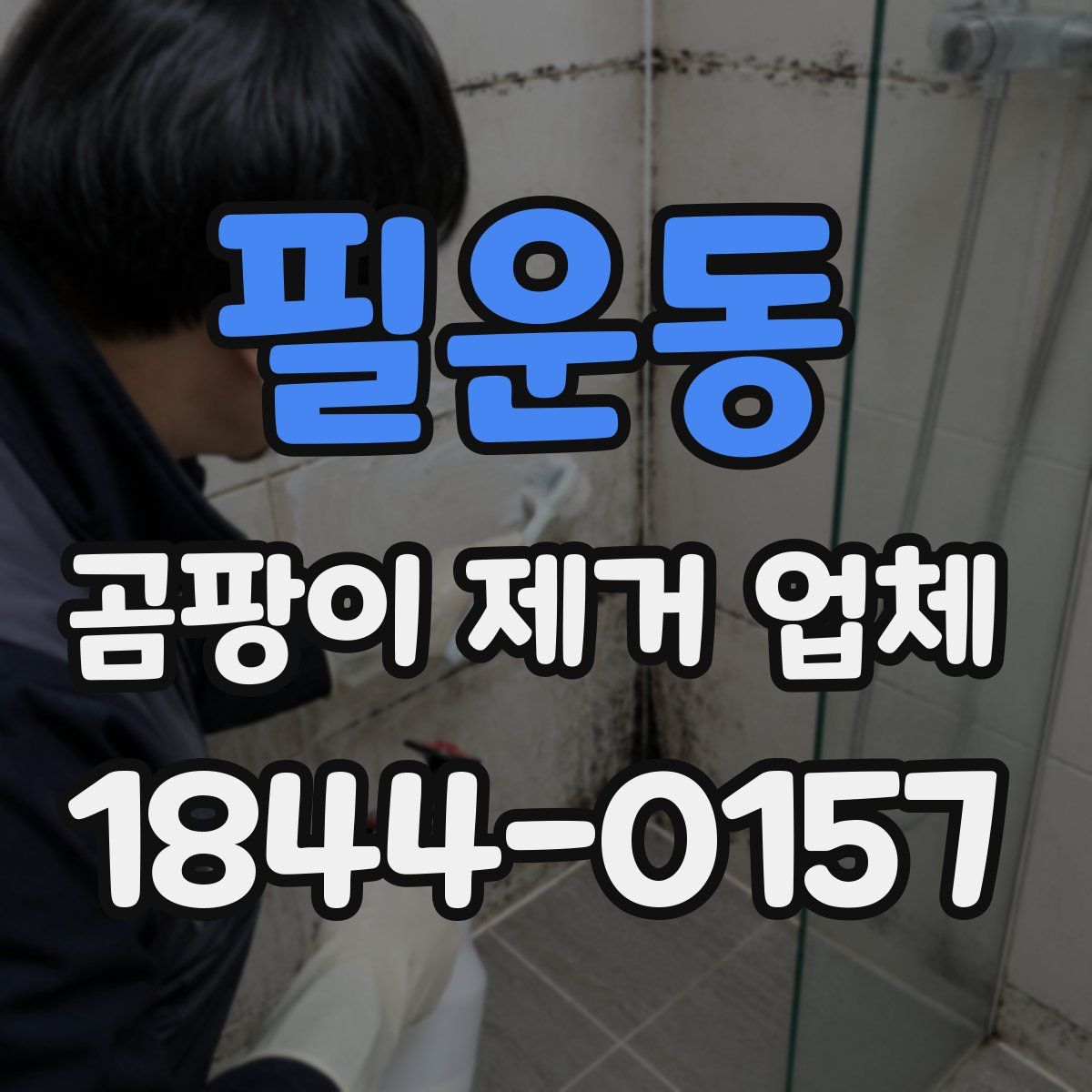 필운동 곰팡이 제거 업체