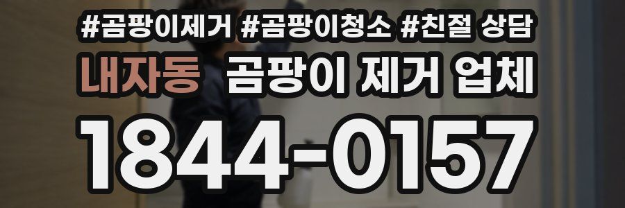 내자동 곰팡이 제거 업체
