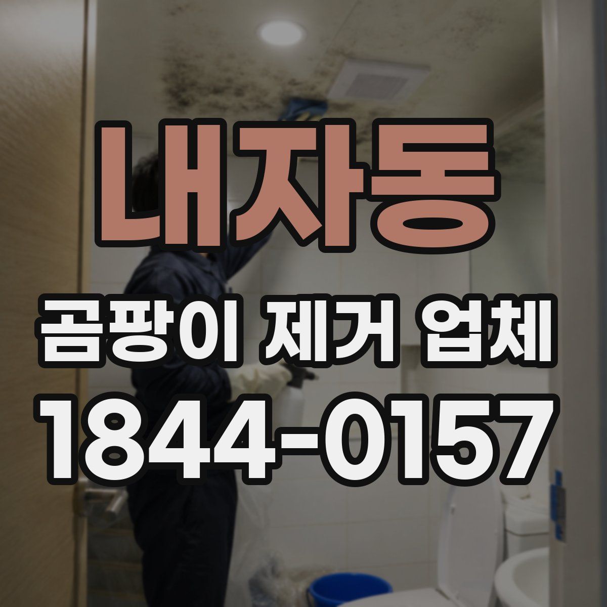 내자동 곰팡이 제거 업체