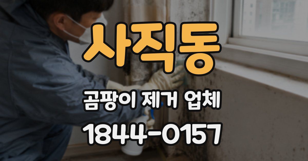 사직동 곰팡이 제거 업체