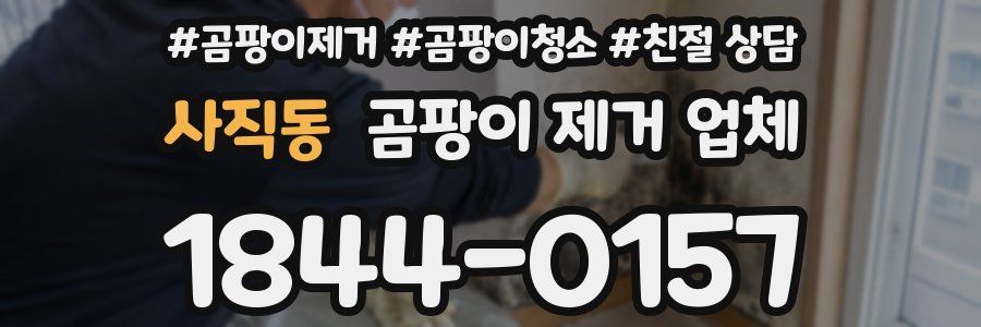 사직동 곰팡이 제거 업체