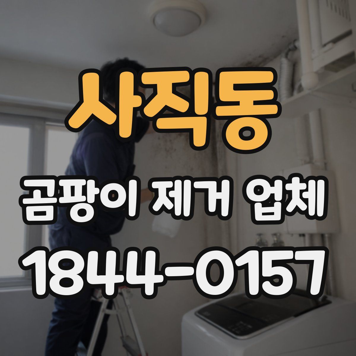 사직동 곰팡이 제거 업체