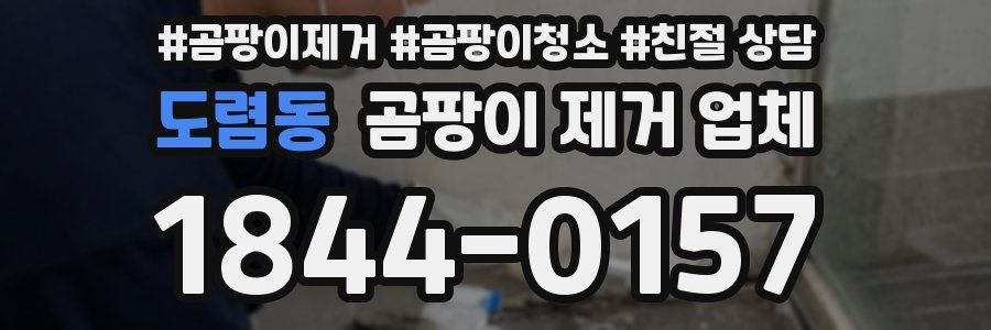 도렴동 곰팡이 제거 업체