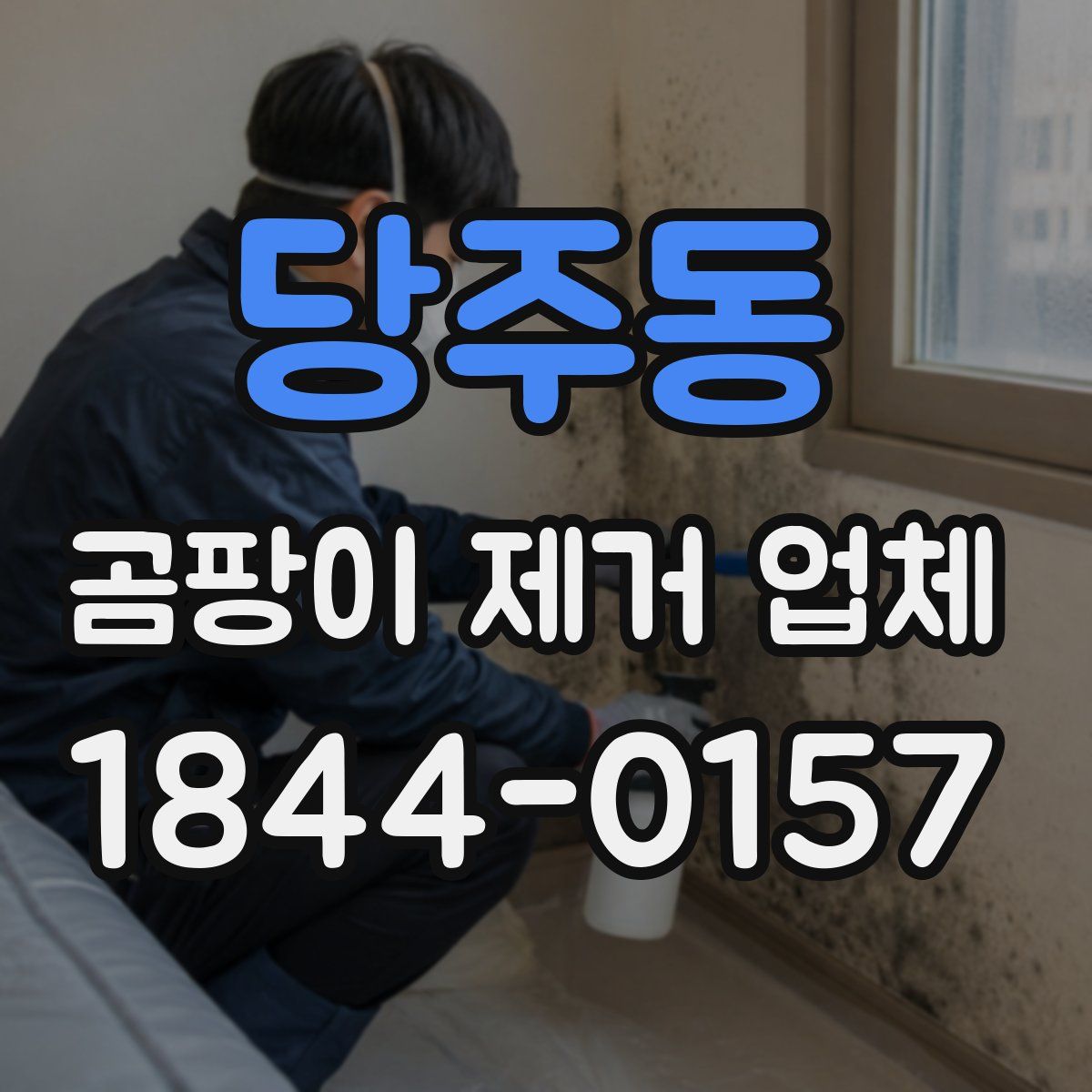 당주동 곰팡이 제거 업체