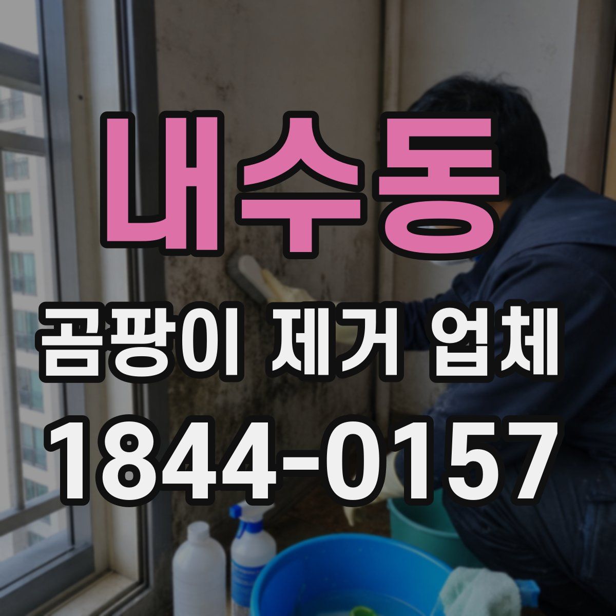 내수동 곰팡이 제거 업체