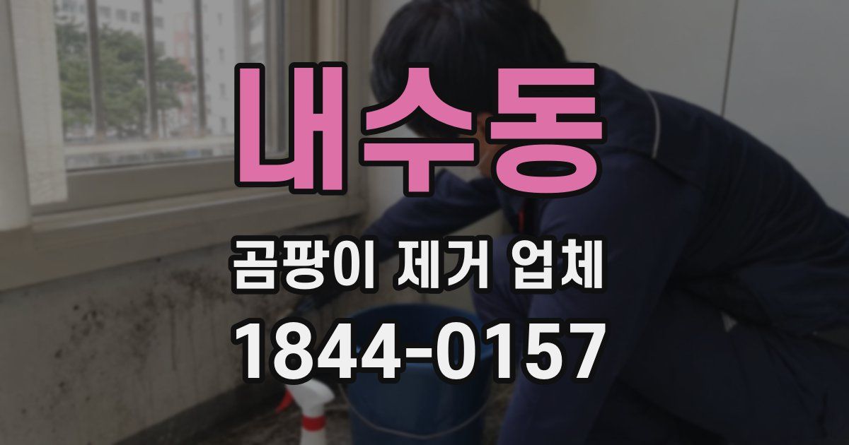 내수동 곰팡이 제거 업체