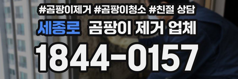 세종로 곰팡이 제거 업체