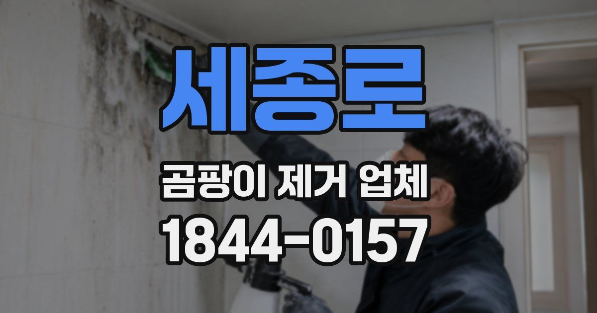 세종로 곰팡이 제거 업체