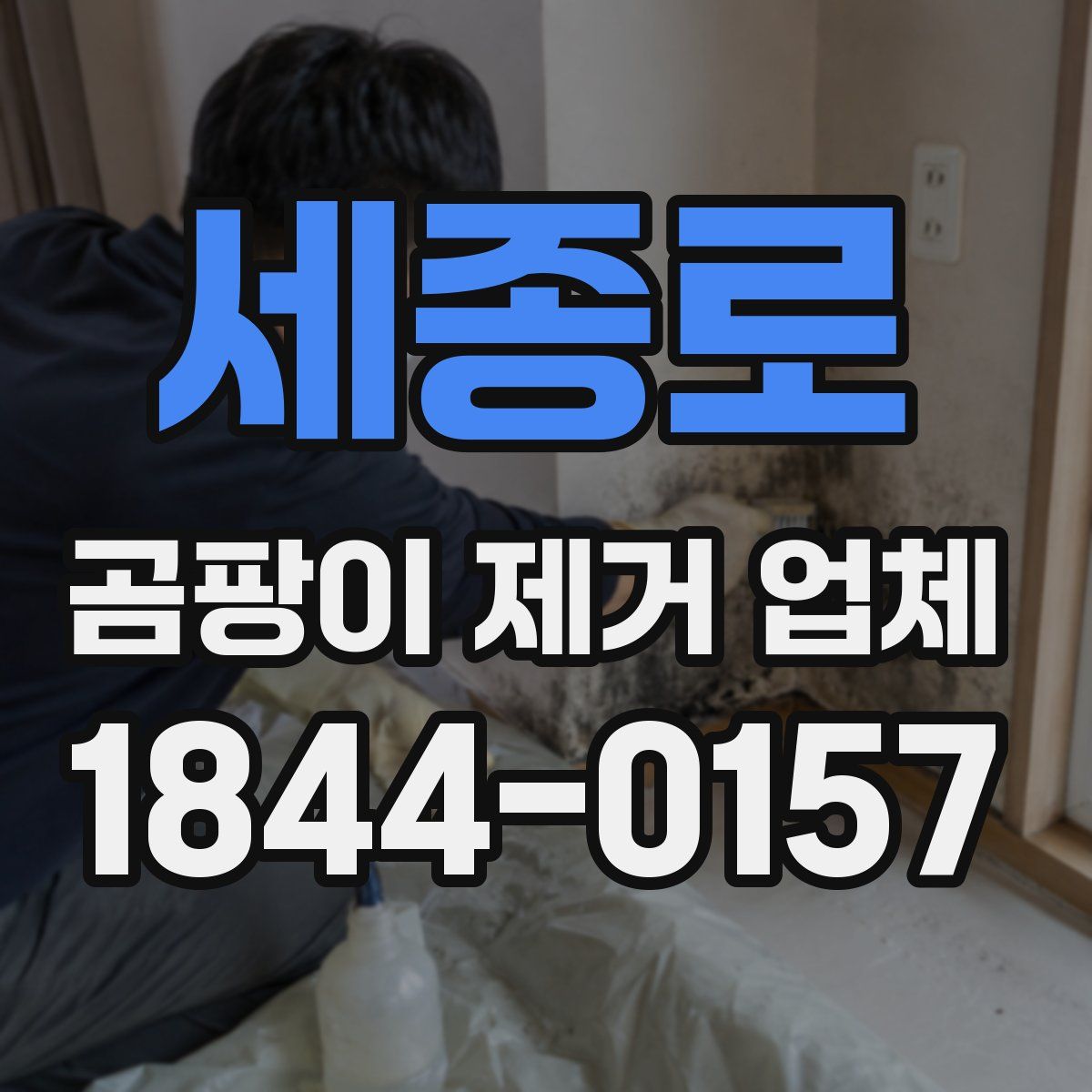 세종로 곰팡이 제거 업체