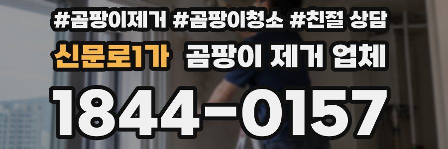 신문로1가 곰팡이 제거 업체