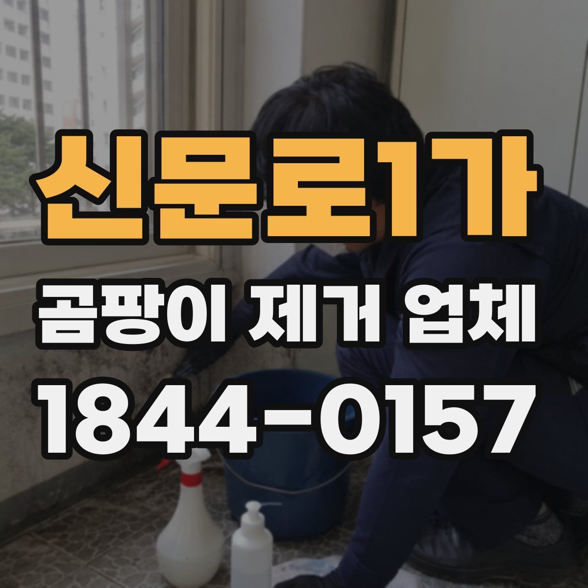 신문로1가 곰팡이 제거 업체