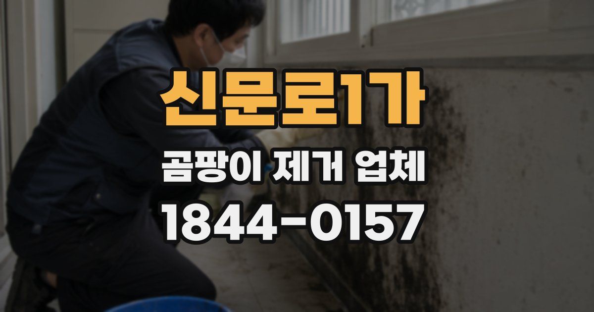 신문로1가 곰팡이 제거 업체