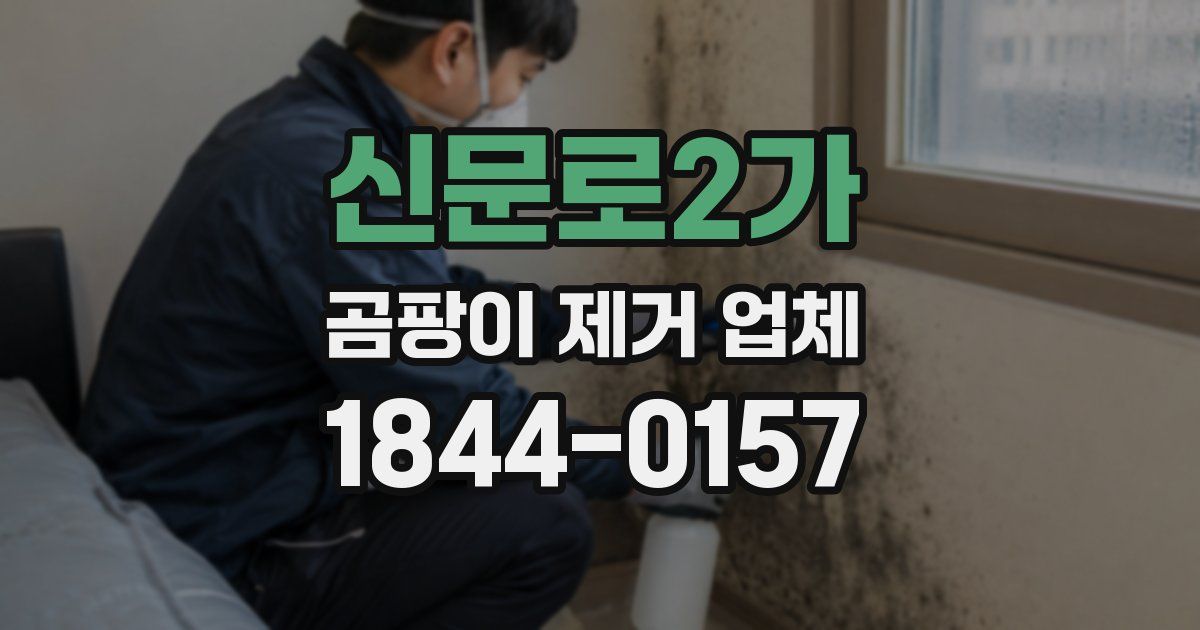 신문로2가 곰팡이 제거 업체