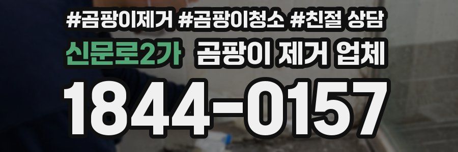 신문로2가 곰팡이 제거 업체