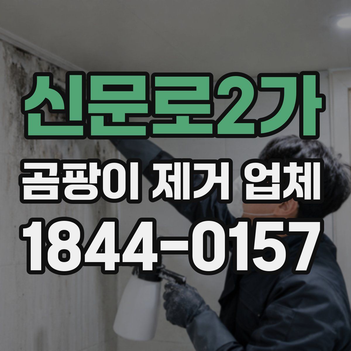 신문로2가 곰팡이 제거 업체