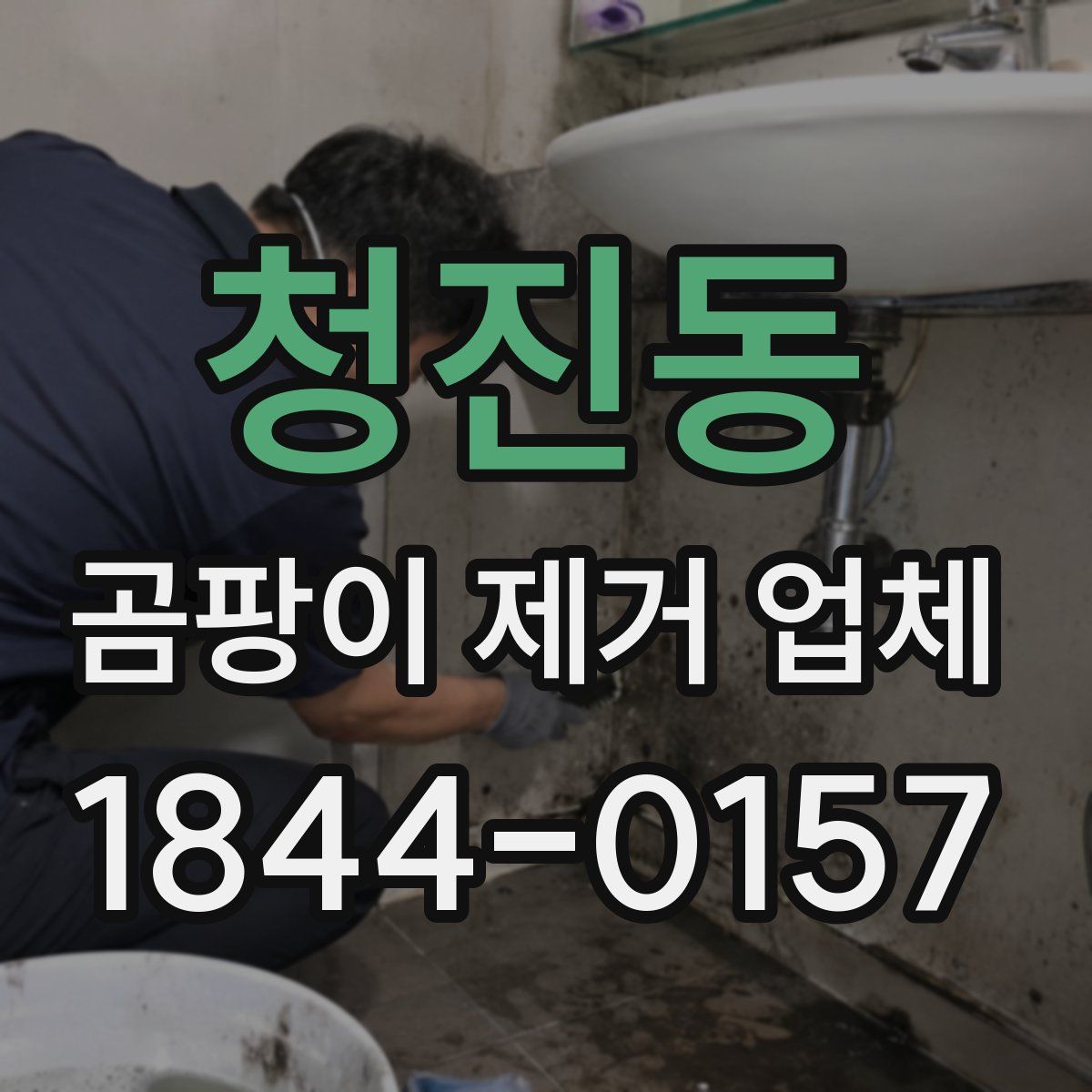 청진동 곰팡이 제거 업체