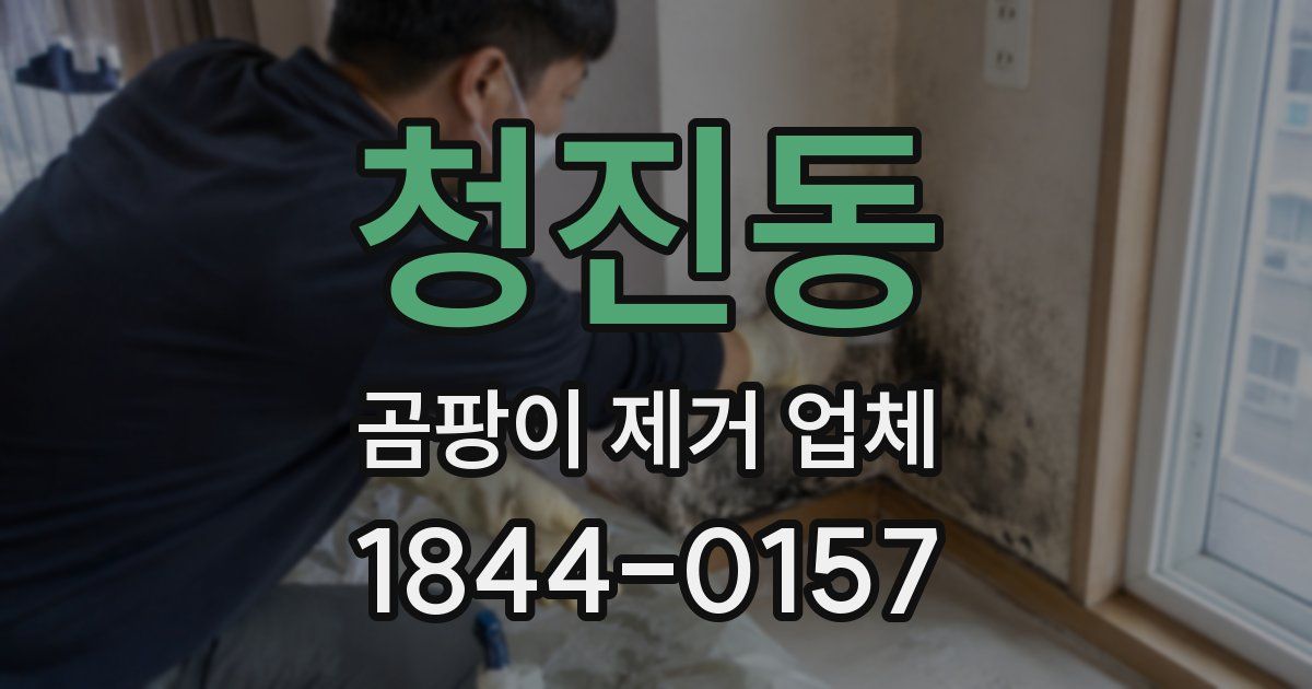 청진동 곰팡이 제거 업체
