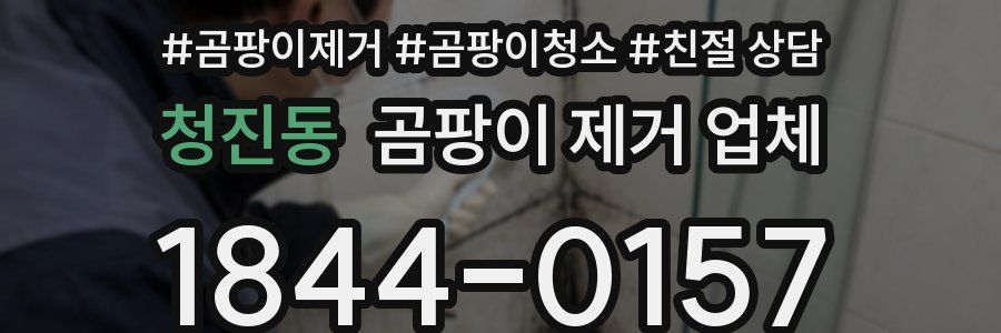 청진동 곰팡이 제거 업체