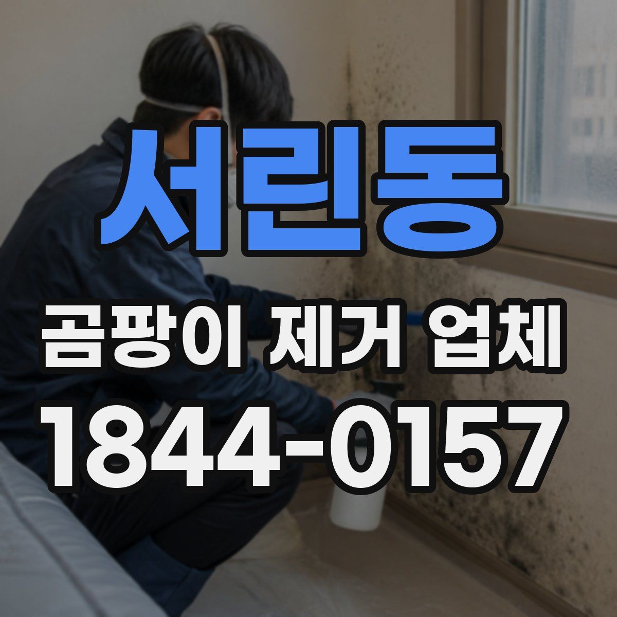 서린동 곰팡이 제거 업체