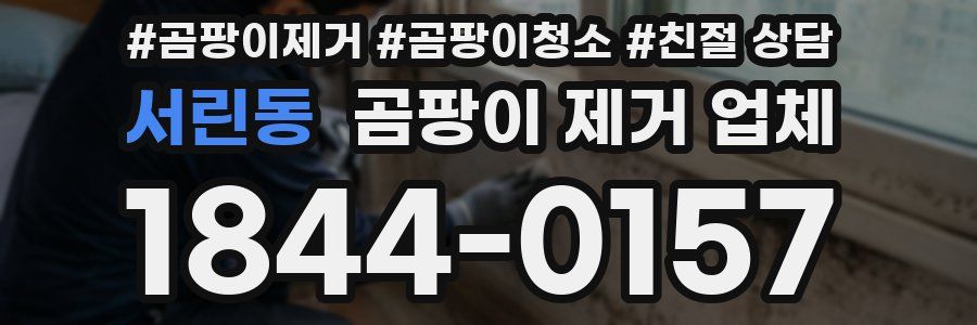 서린동 곰팡이 제거 업체