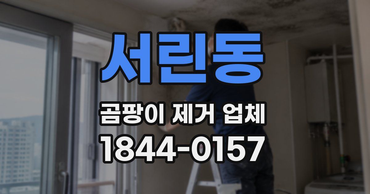 서린동 곰팡이 제거 업체