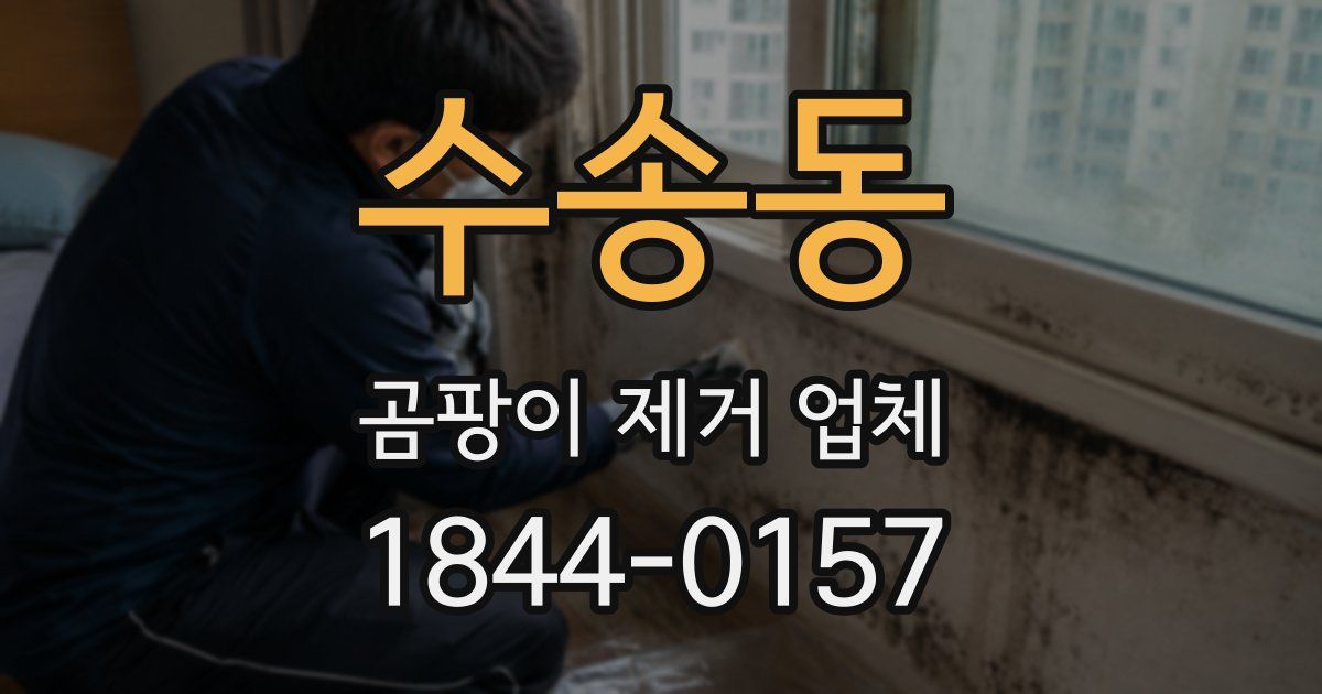 수송동 곰팡이 제거 업체