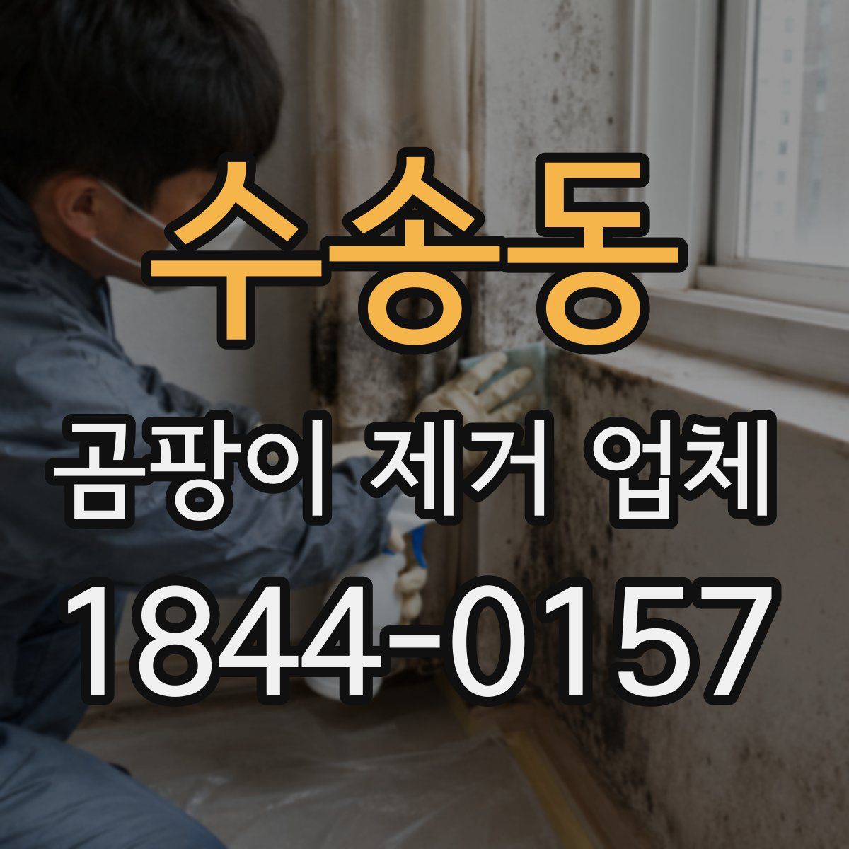 수송동 곰팡이 제거 업체