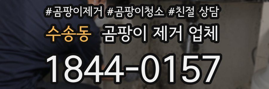 수송동 곰팡이 제거 업체
