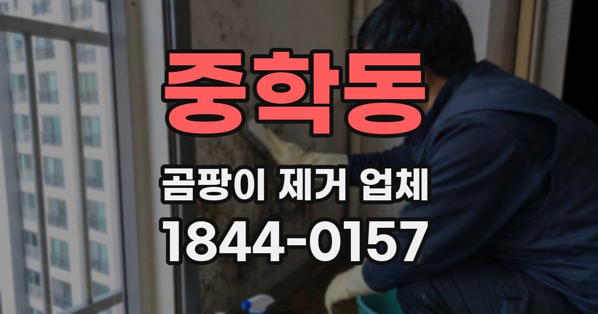 중학동 곰팡이 제거 업체