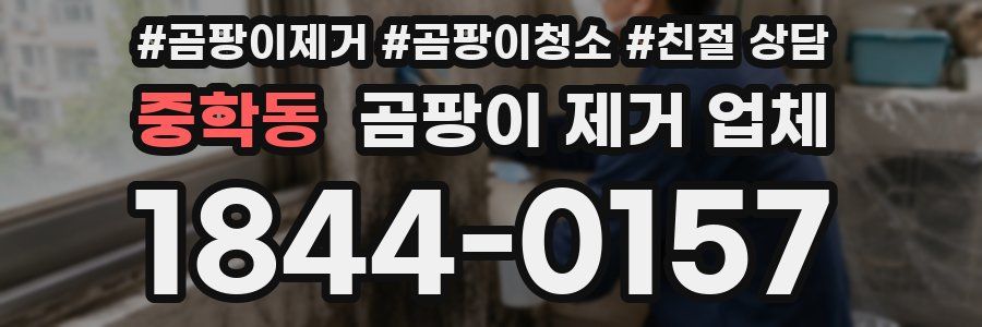 중학동 곰팡이 제거 업체