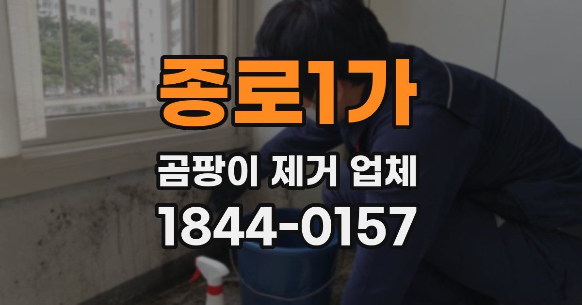 종로1가 곰팡이 제거 업체