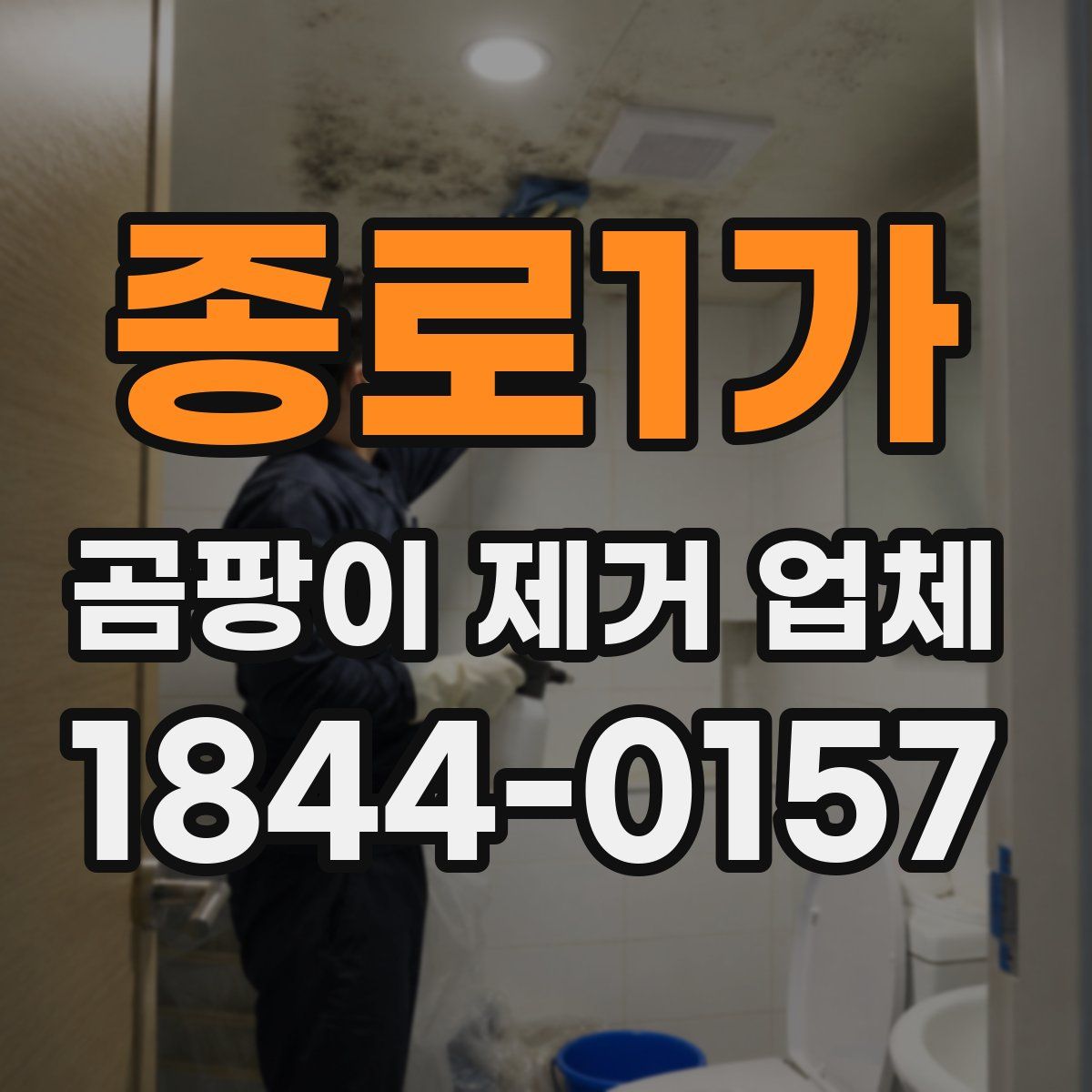 종로1가 곰팡이 제거 업체