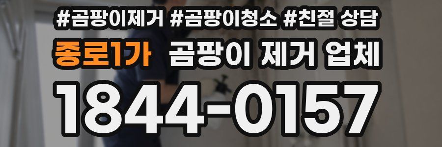 종로1가 곰팡이 제거 업체