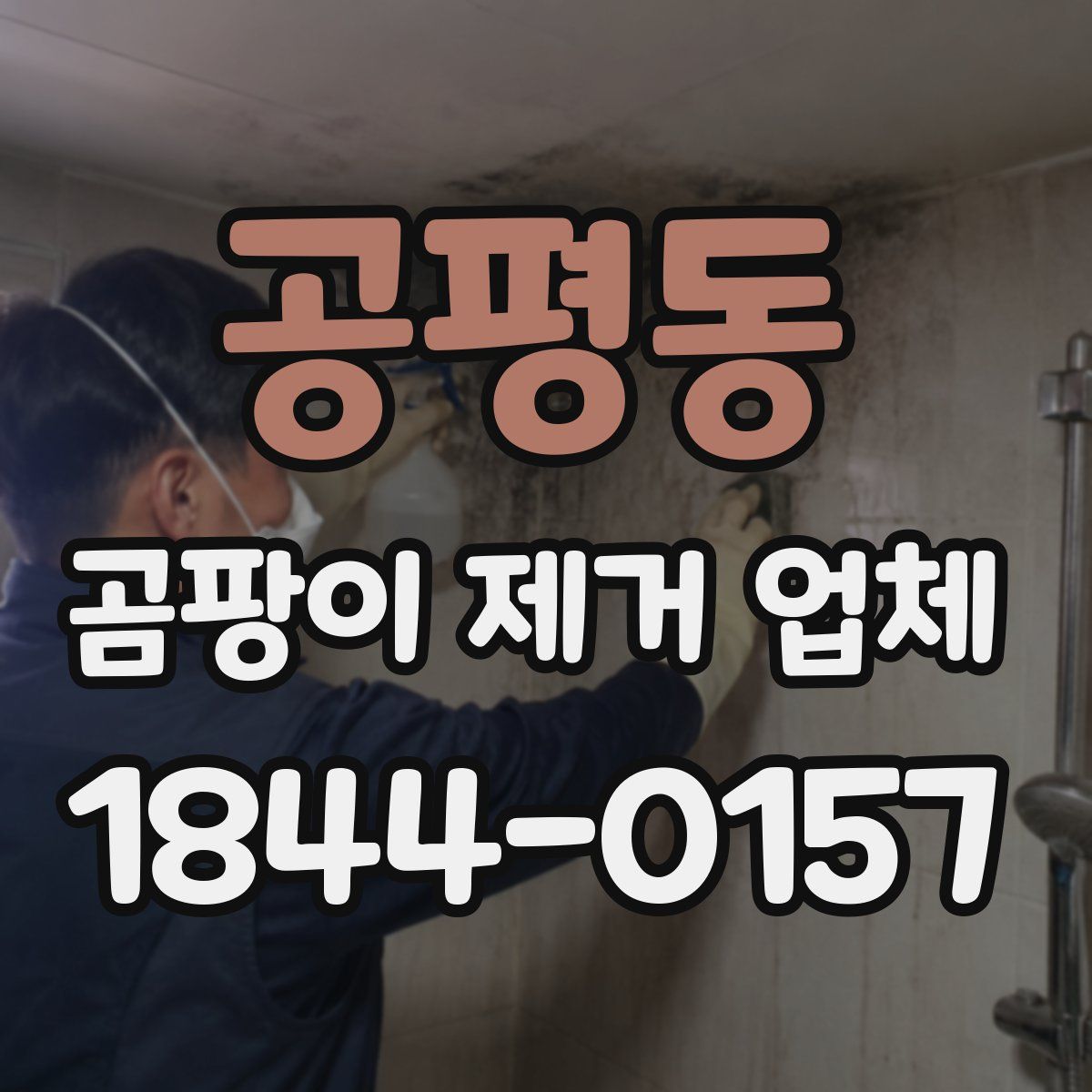 공평동 곰팡이 제거 업체